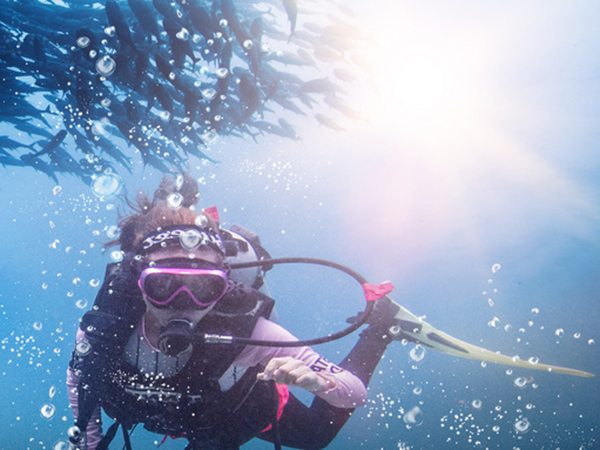 潜水料护具案例